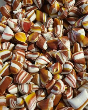 Tutti Frutti Lakrids 100g